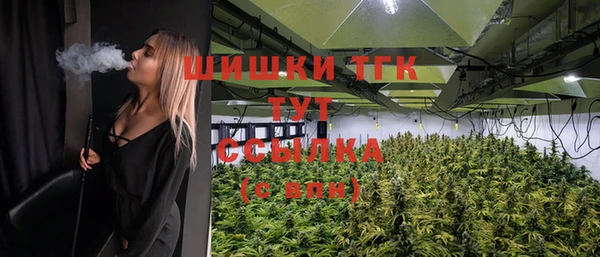 гидропоника Карпинск