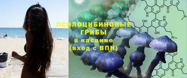 трава Кинешма