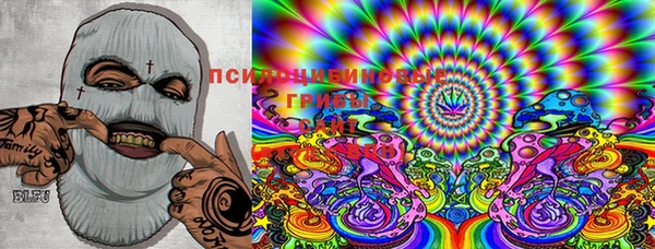 крисы Киреевск