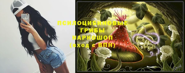 гидропоника Карпинск